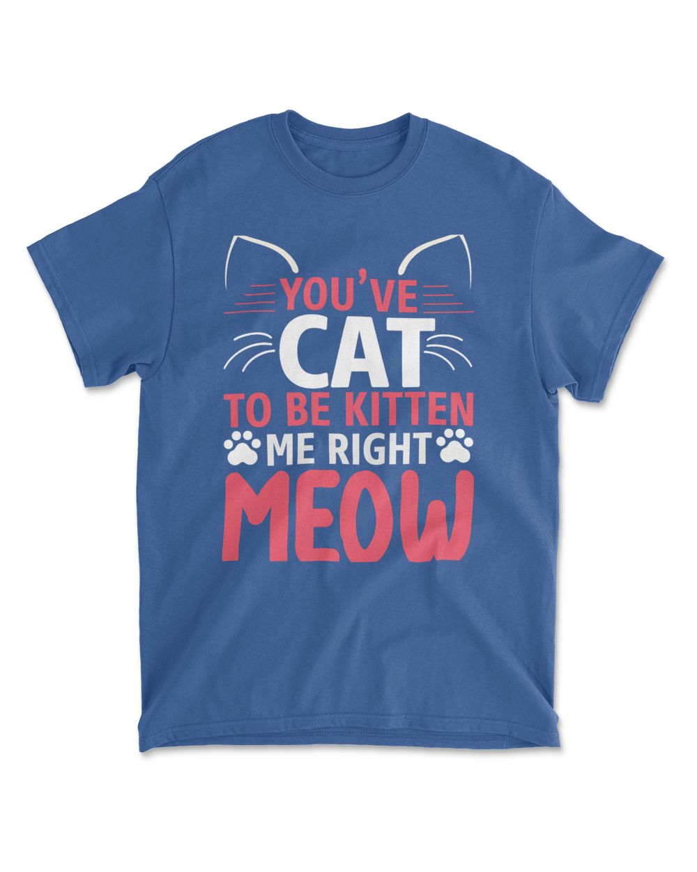 YOUVE CAT TO BE KITTEN ME RIGHT MEOW