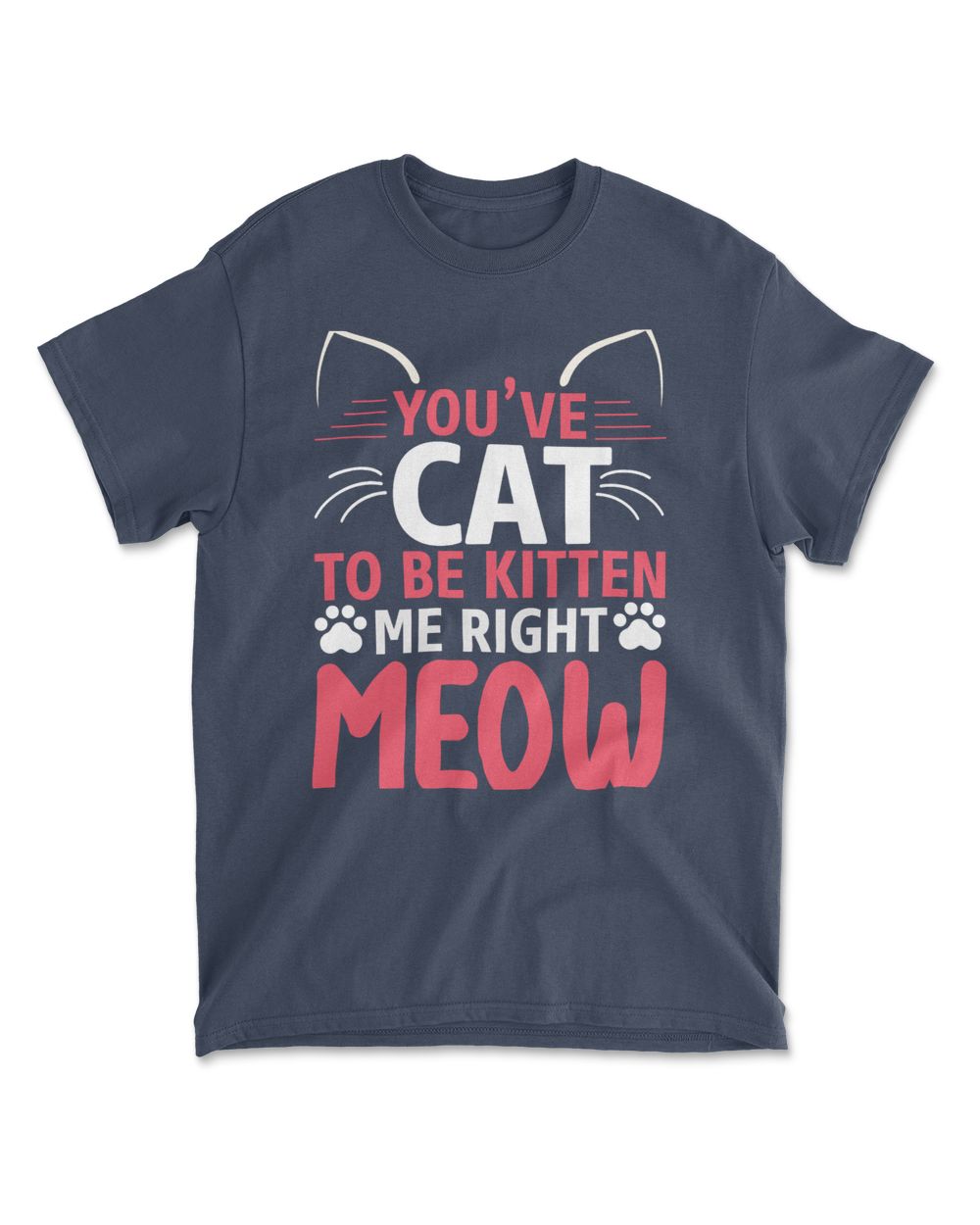 YOUVE CAT TO BE KITTEN ME RIGHT MEOW