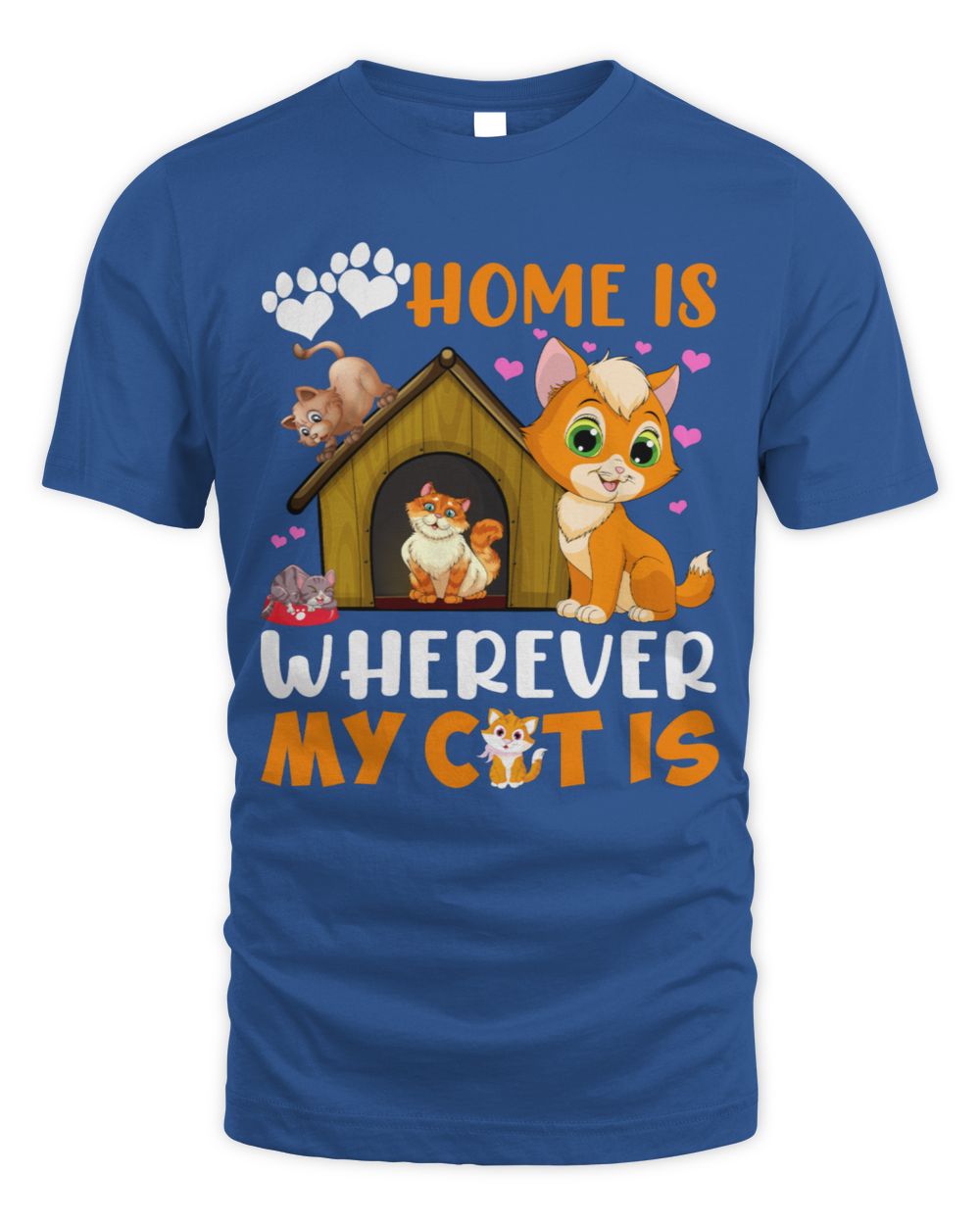 Home is wherever my cat is