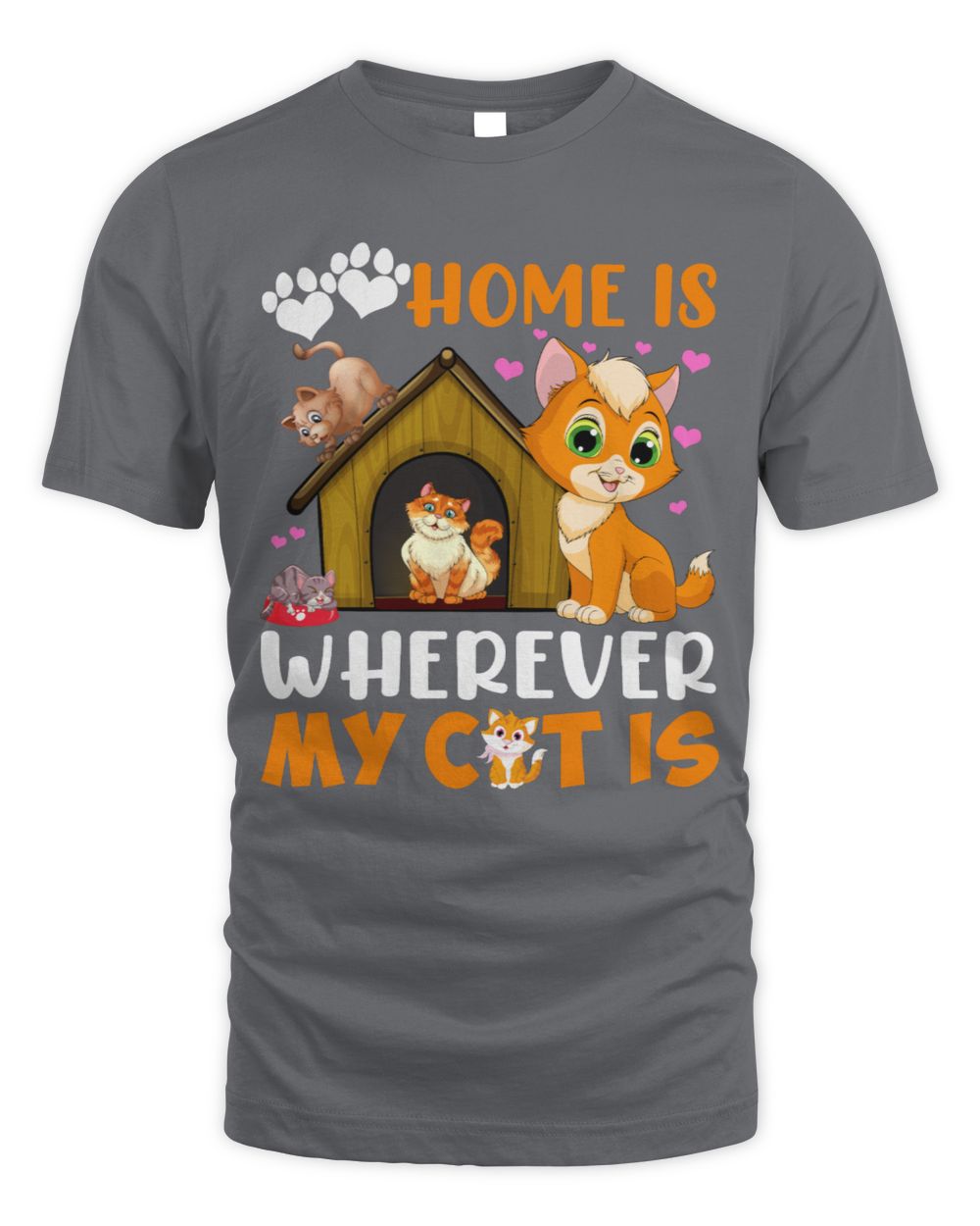Home is wherever my cat is