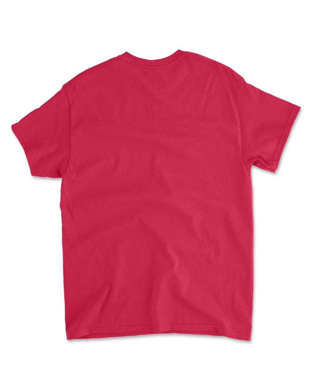 Rockstar Cat