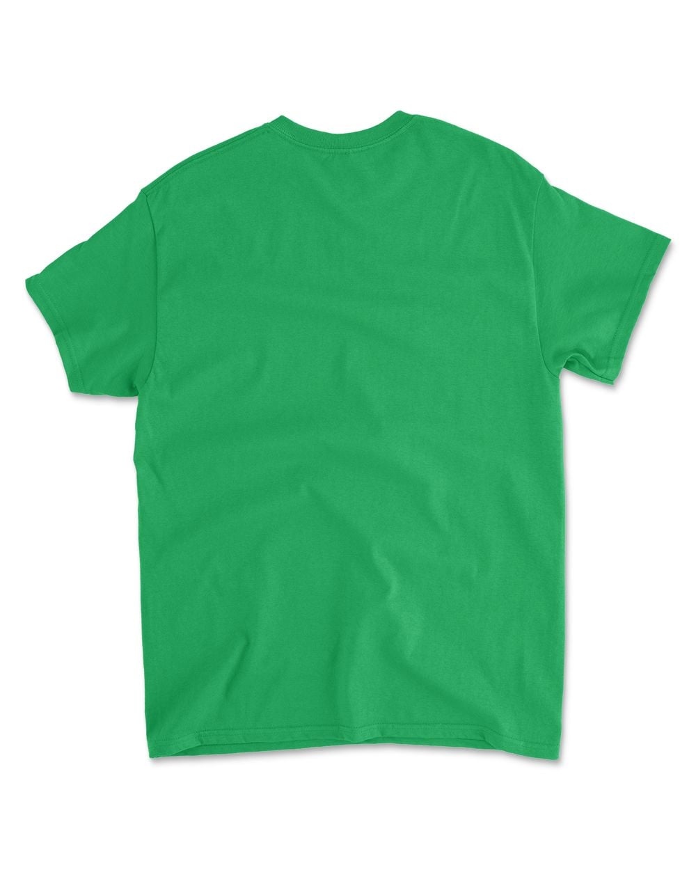 Cat Buckle Up Buttercup You Just Flipped My Witch Switch T-Shirt
