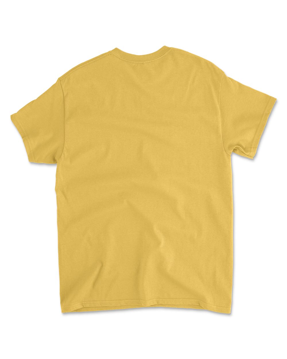 Halloween A Girl Has No Costume T-Shirt