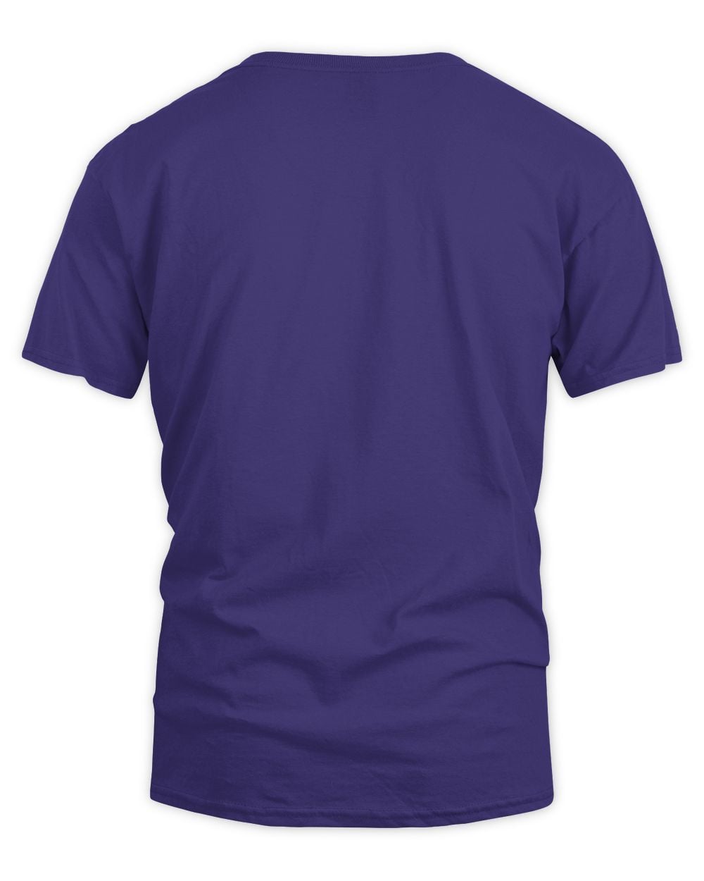 i dont have ducks i have flamingos cute flamingo lover gift