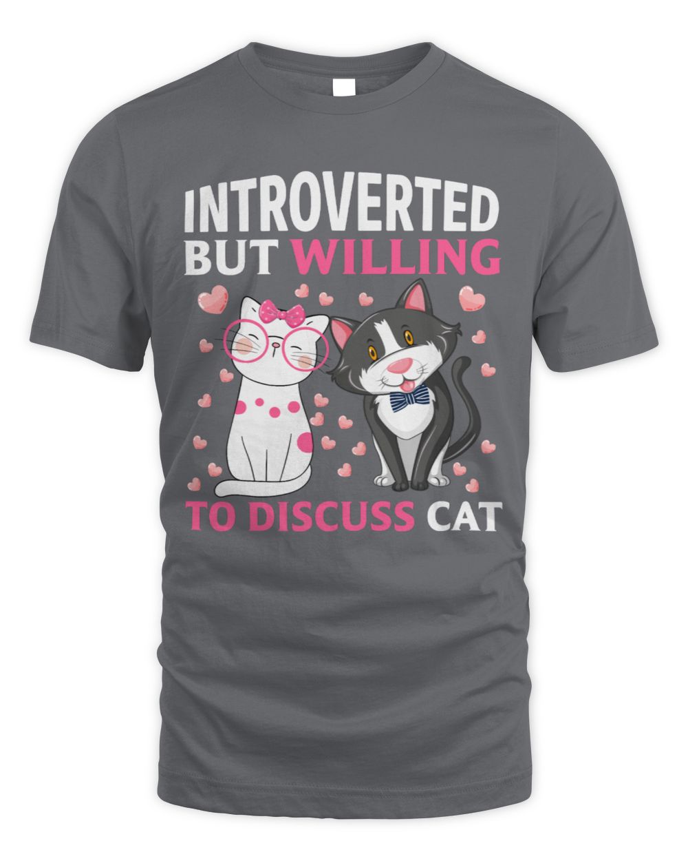 Cat lover Introverted but willing to discuss cat